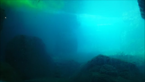 Underwater rocky seascape with turquoise light