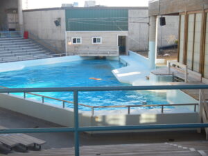 Empty indoor marine show pool with bleachers