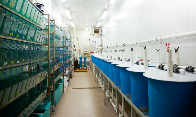 Aquaculture